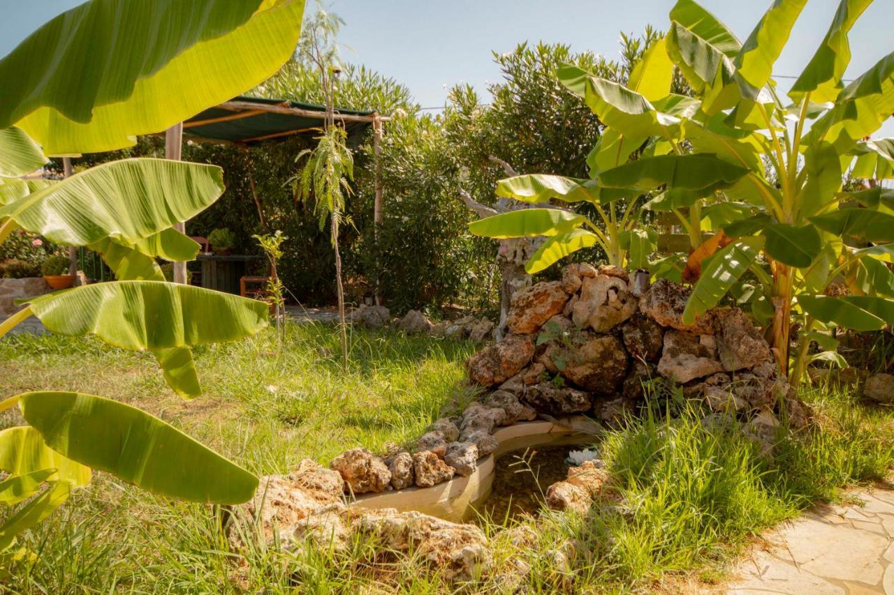 Harmony Corfu Apartments & Studios Екстер'єр фото