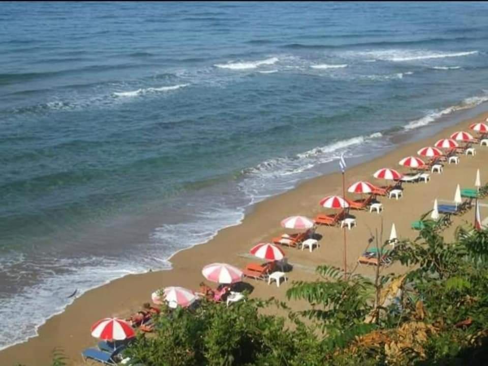 Harmony Corfu Apartments & Studios Екстер'єр фото