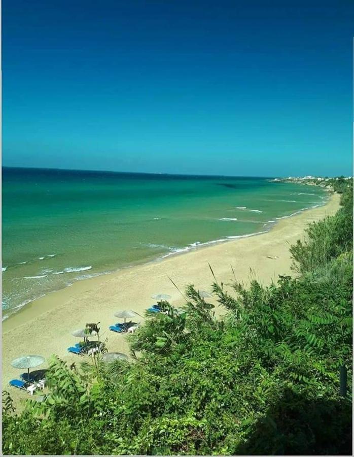 Harmony Corfu Apartments & Studios Екстер'єр фото