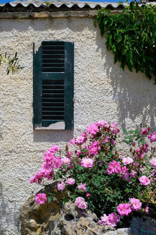 Harmony Corfu Apartments & Studios Екстер'єр фото