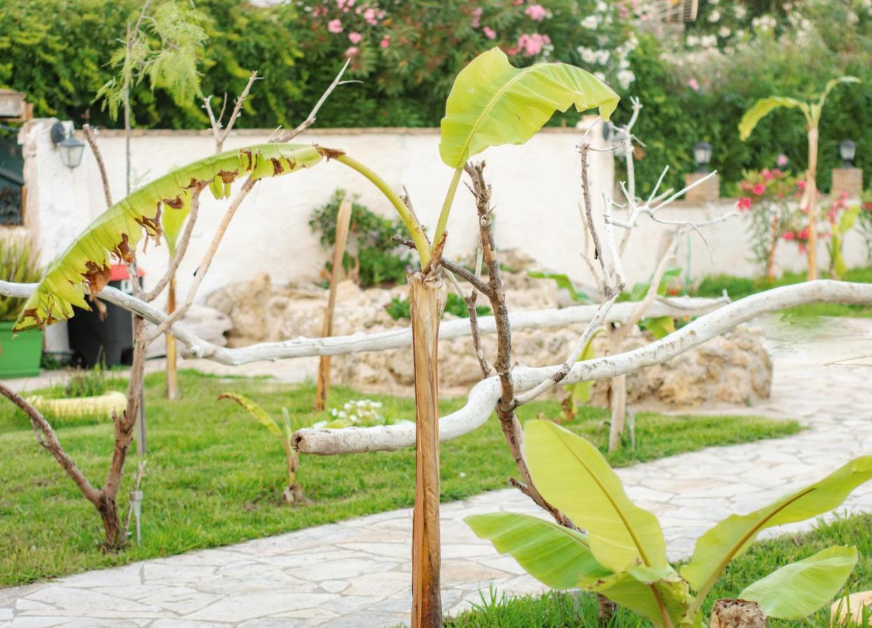 Harmony Corfu Apartments & Studios Екстер'єр фото